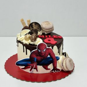 TARTA FOTO CHOCOLATE